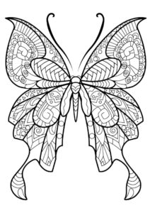 Великолепный махаон - Бабочки бесплатная раскраска