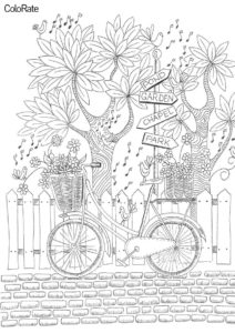 Бесплатная раскраска Велосипед, деревья, птички - Велосипеды