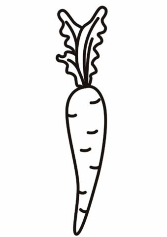 Вита Лонга (Морковь) разукрашка для печати на А4