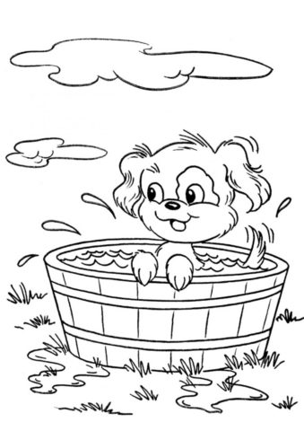 Собаки и щенки распечатать раскраску - Водные процедуры