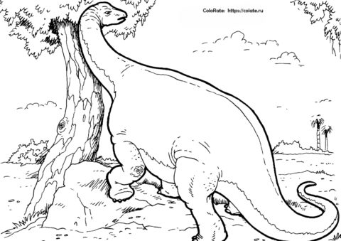 Раскраска Зальтозавр - Динозавры